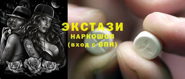 индика Гатчина
