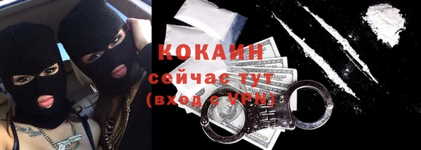 соль ск Алзамай