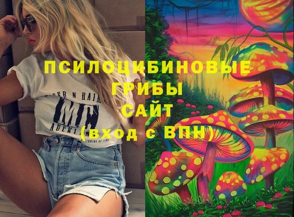 прущий лед Алексин
