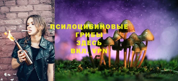 прущий лед Алексин